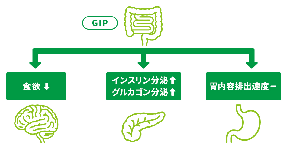 GLPの作用 width=