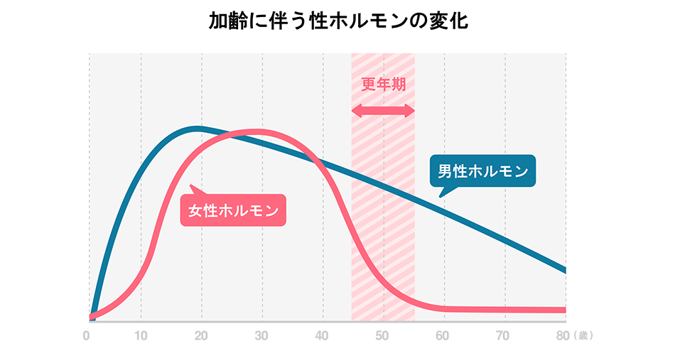 加齢に伴う性ホルモンの変化