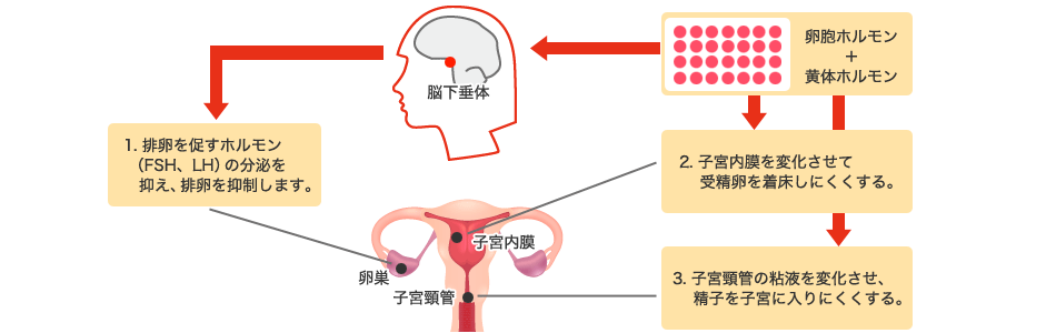 ホワイトニングとは